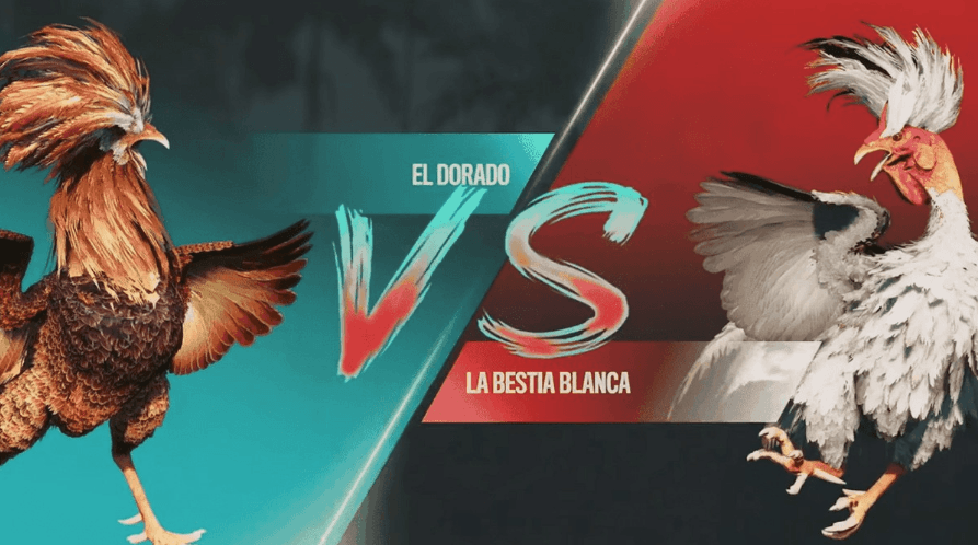 34c Brasil Slots de esporte